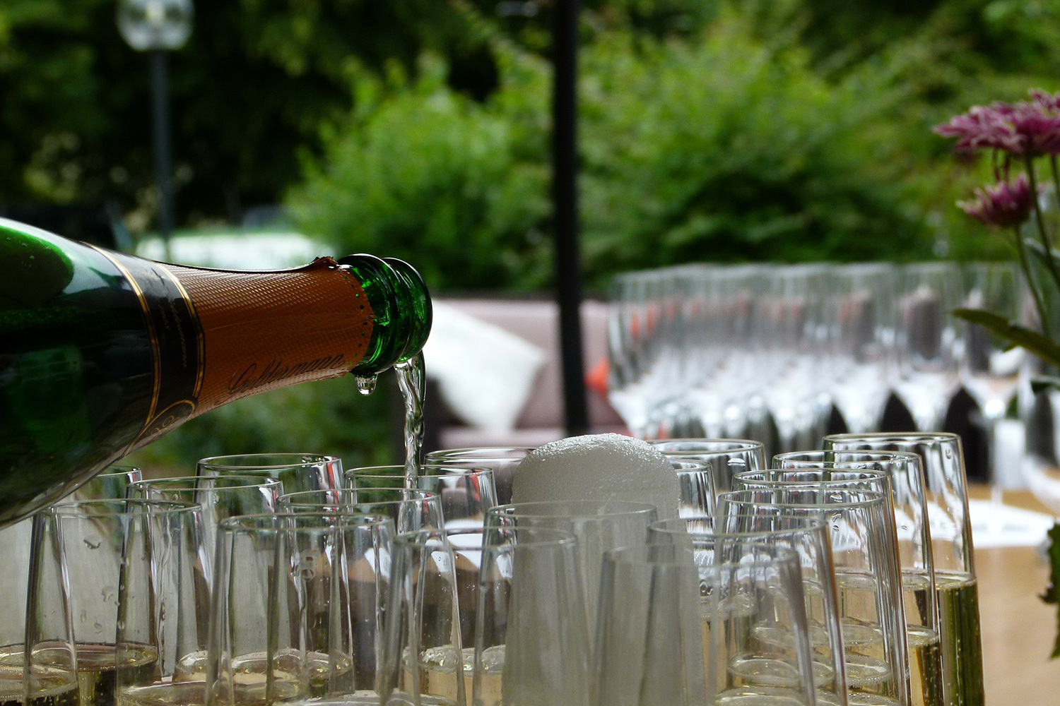 <span style="font-weight: bold;">Wedding celebrations</span>